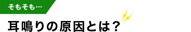 そもそも…耳鳴りの原因とは？